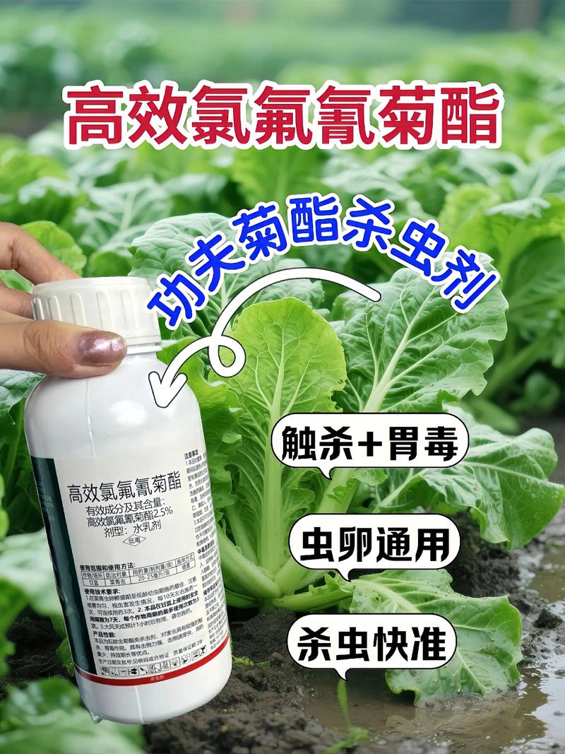 塔城代生中心:农药对供卵代生妈妈的危害